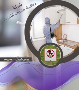 مكافحة حشرات الكويت